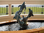 dolphin fountain